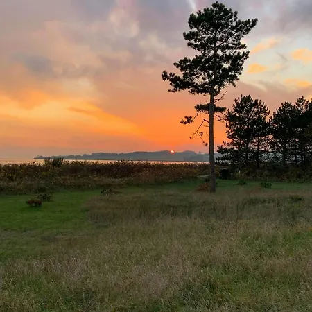 With Wildlife In Mols Bjerge * Knebel
