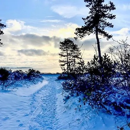 With Wildlife In Mols Bjerge Knebel